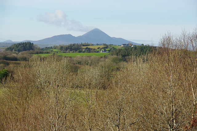 Raheens_Woodland_Walk_reek_View_1.jpg