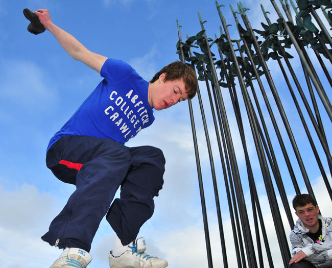 SkatePark__by_Alison_Laredo_3.jpg