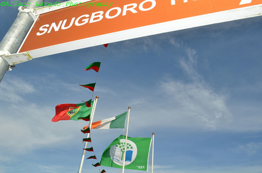 Snugboro_Green_Flag_by_Alison_Laredo_20.jpg