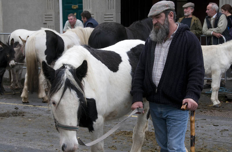 Westport_Horse_Fair_2009_13.jpg