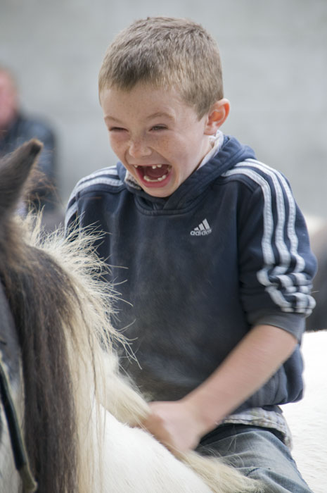 Westport_Horse_Fair_2009_15.jpg