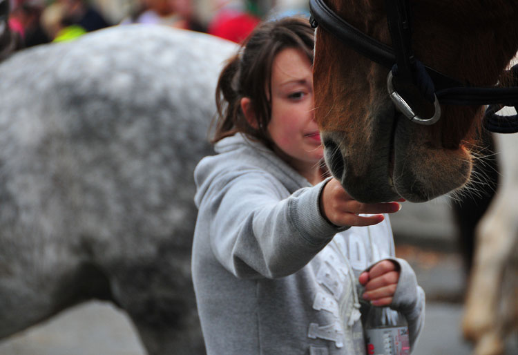 Westport_Horse_Fair_2009_17.jpg