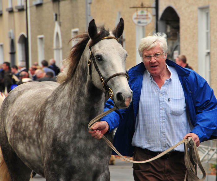 Westport_Horse_Fair_2009_5.jpg