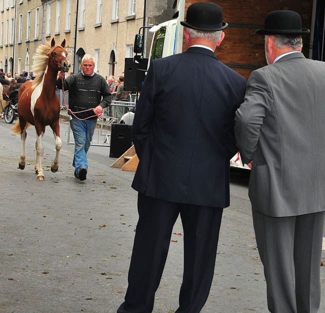 Westport_Horse_Fair_2009_6.jpg