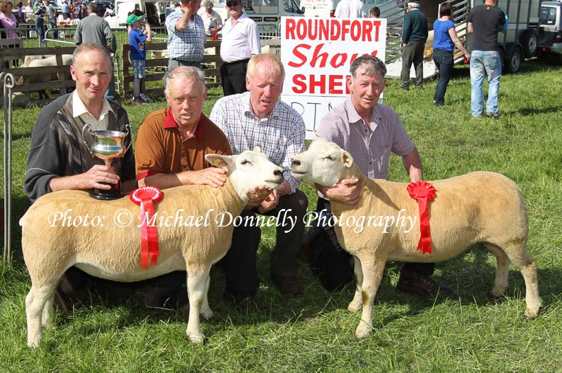 e87d9845__commercial_champ_sheep_roundfort_tn.jpg