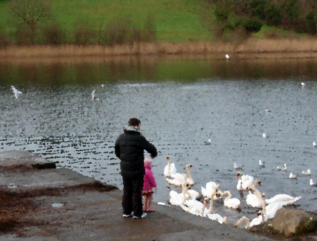 feeding_the_swans_1.jpg