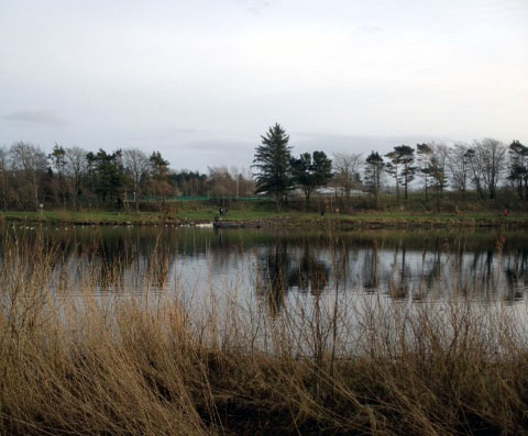 lough_lannagh_walk_2.jpg