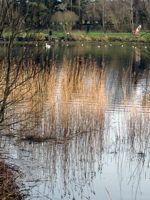 lough_lannagh_walk_3.jpg