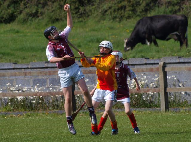 marymurrayhurling_056.JPG