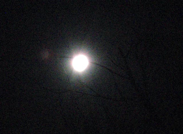 moon_eclipse_20091231_1924_PC314189.jpg