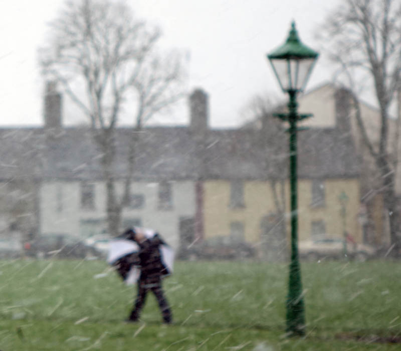 snow-brolly-3-20140211_1.jpg