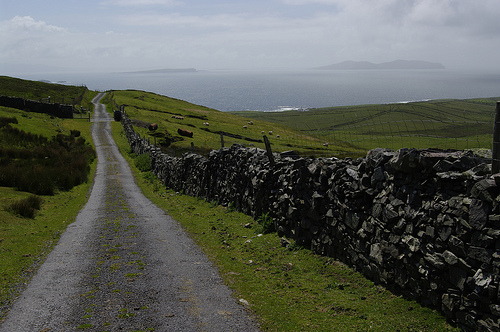 stonewalls_and_the_grass_is_green.jpg