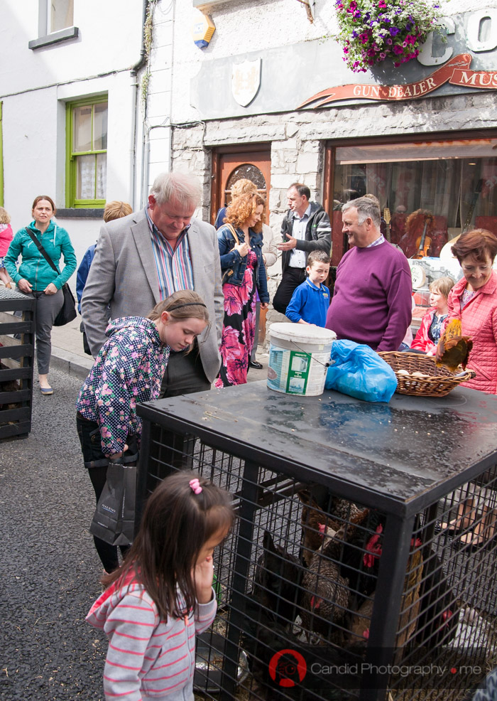 Heart of Castlebar Street Festival 2014