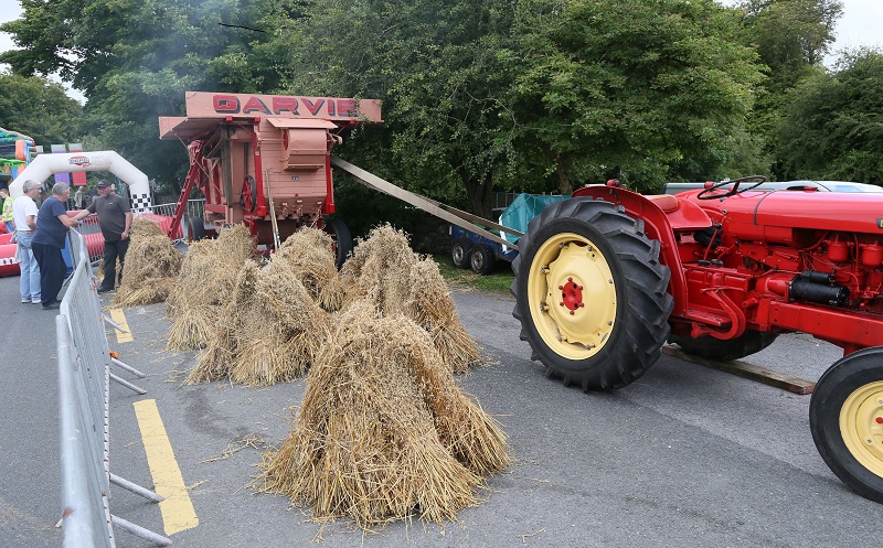 AO6U2585__Threshing.jpg