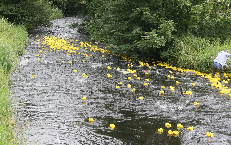 AO6U2628_Race_on_in_Turlough_Duck_Race.jpg