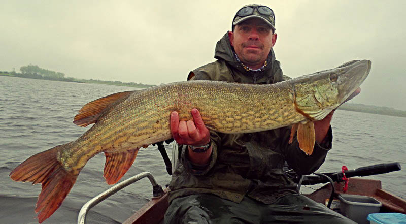 A_delighted_Wayne_Oldfield_Dublin_with_a_fantastic_wild_Lough_Conn_pike.jpg
