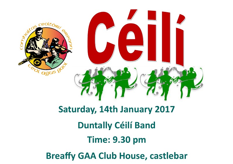 Annalee_Ceili_Band_January_Poster.jpg