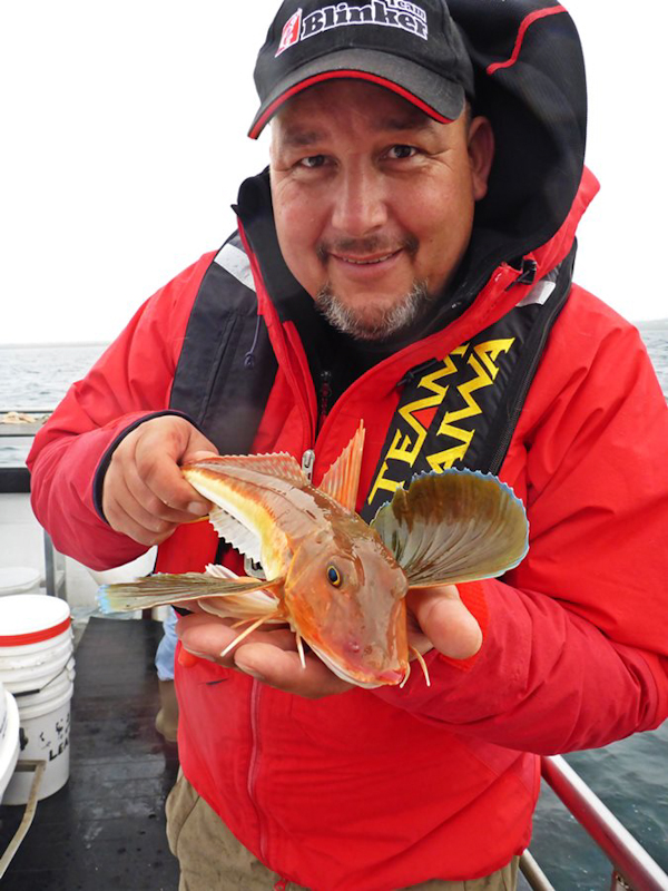 Arne_Seiberlich_Germany_with_a_nice_tub_gurnard_from_Killala_Bay.jpg