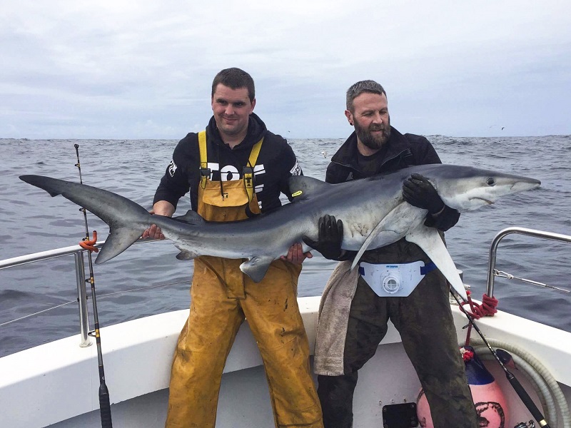 Brazen_Hussy_88lbs_Blue_Shark_September_2016.jpg