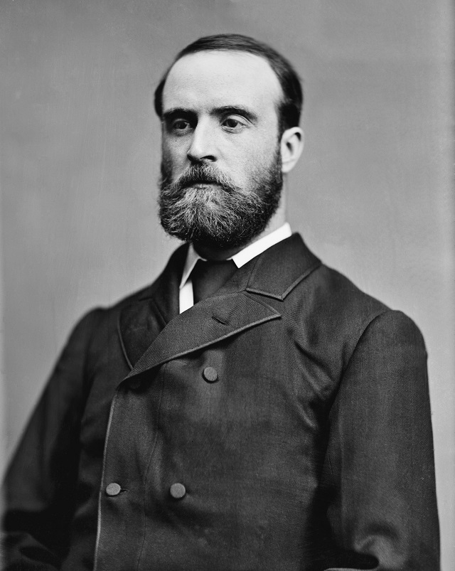 Charles_Stewart_Parnell_-_Brady-Handy.jpg