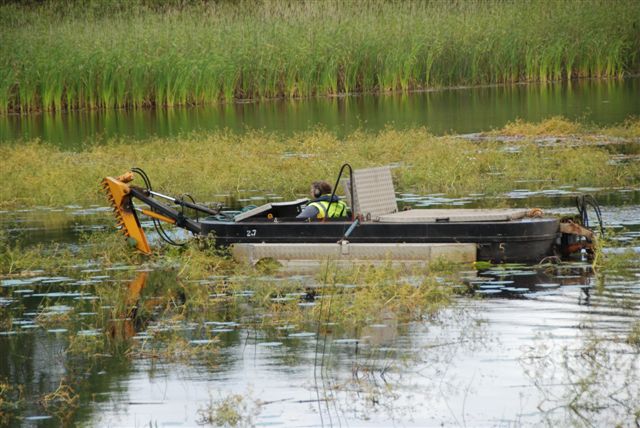 Cleaning_up_operation_on_Lough_Lannagh_001.jpg