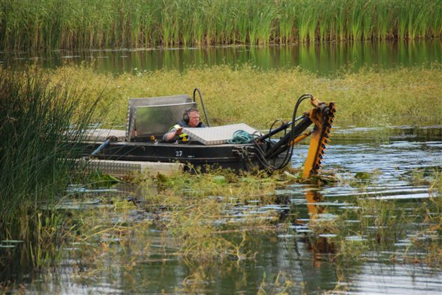 Cleaning_up_operation_on_Lough_Lannagh_003.jpg