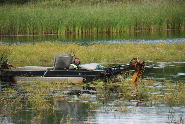 Cleaning_up_operation_on_Lough_Lannagh_004.jpg