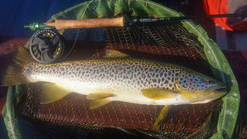 Corrib_Trout_Dave_Egan_May_2017.jpg