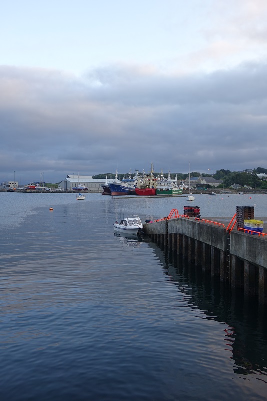 KIllybegs-DSC06042.jpg