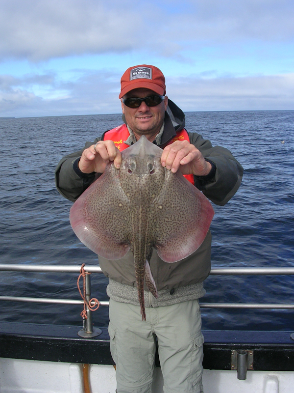 One_of_many_Killala_Bay_thornback_ray_on_the_day.jpg