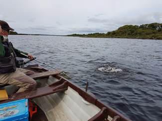 Padraig_Traynor_landing_a_lively_trout_near_Castle_Island_on_L_Conn.jpg