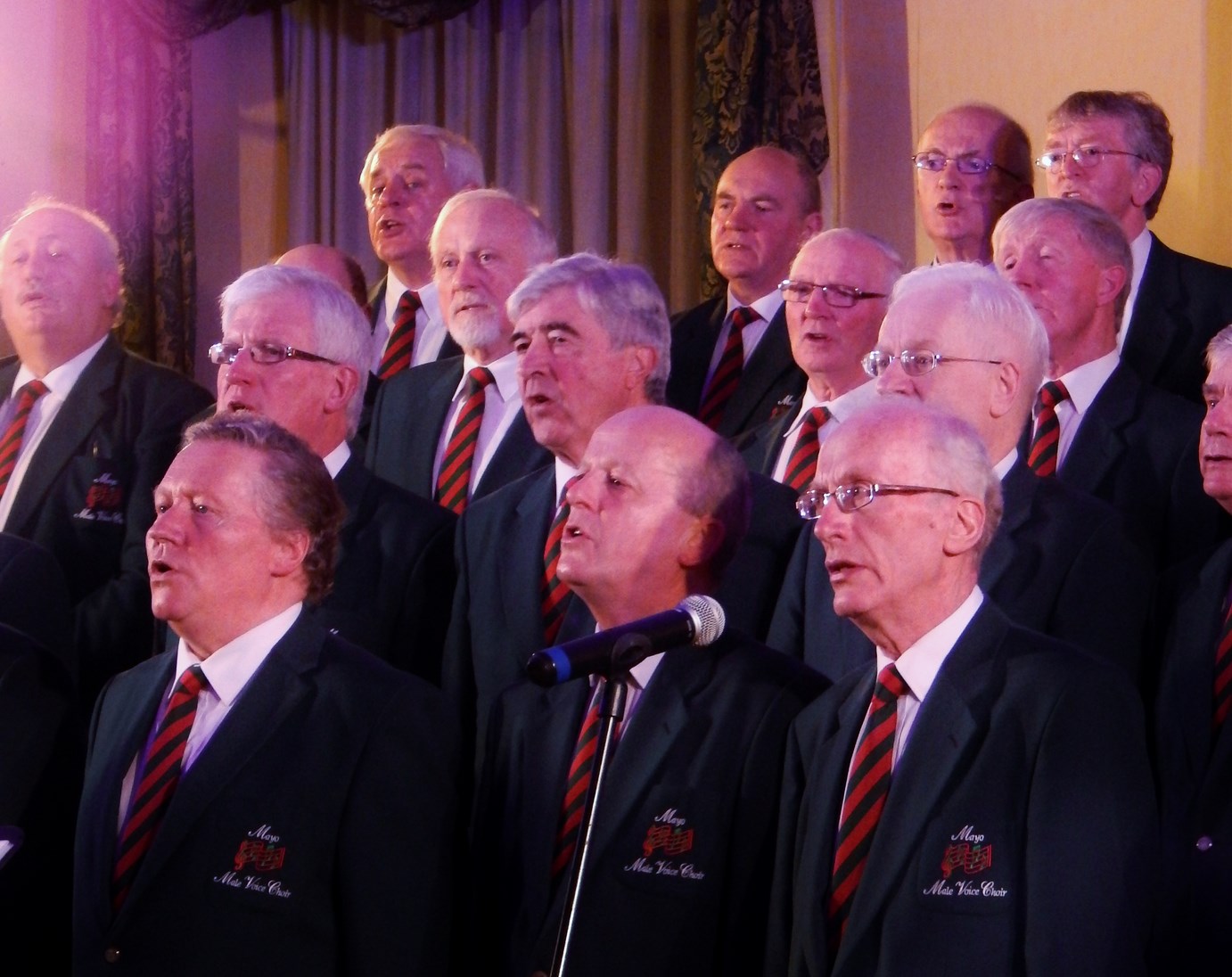 concert2015__24_.JPG