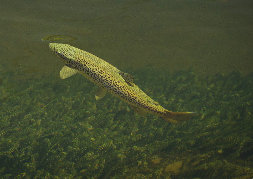 image001_6.jpg