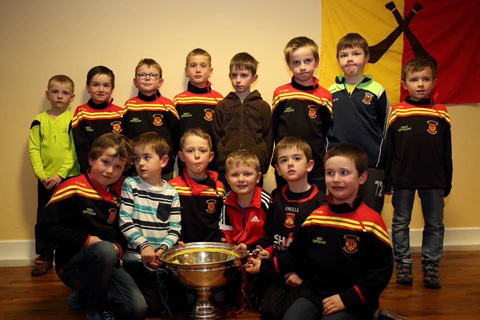 u8_hurlers_with_and_the_nicky_rackard_cup_at_presenatation_night_2016.jpg