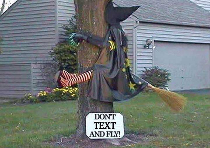 witch_flying_into_tree.jpg