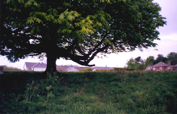 Spencer Park