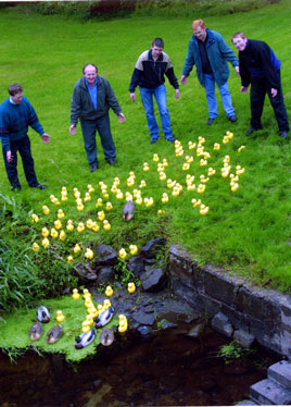 Picture of Turlough Commumnity Duck Race 2000