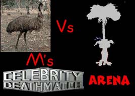 Ozzy vs the EMU in Castlebar County Mayo Ireland