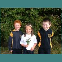 Nature.jpg