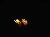 lough lannagh lights 2005
