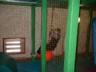 thm_DSCF0034.jpg