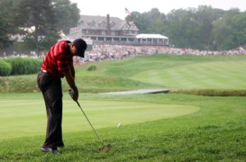 Lovely shot by Tiger