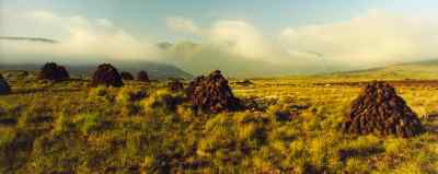 Stacking the Peat