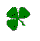 A Shamrock for You!