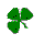 A Shamrock for You!