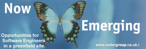 butterfly
