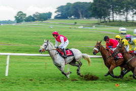 Robert Justynski has a new gallery of great action photos from this week's Ballinrobe Races. Click on photo to browse through them.