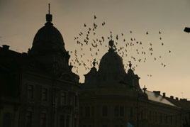 Journeys in Romania. Anthony Ryan took his camera to Romania during January 2008. Click photo to follow in his footsteps.