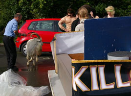 Frank Cawley went to Puck Fair in Killorglin. Click to see his photos and read his comments on this most famous fair.