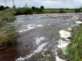 The summer continues - this is the River Moy at Foxford yesterday in a raging flood. Click photo for more summer 2008 photos from Foxford and Pontoon Bridge.